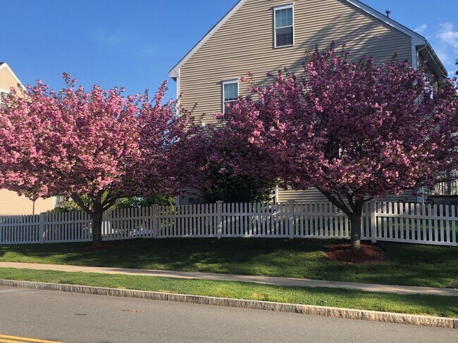 22 Pomeworth Street in Stoneham, MA - Building Photo - Building Photo