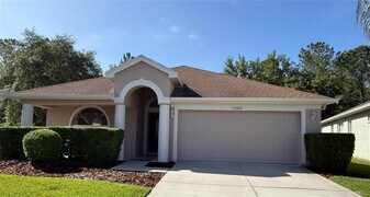 27426 Whispering Birch Way in Wesley Chapel, FL - Building Photo