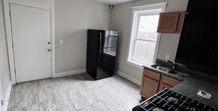 1920 W 21st Pl in Chicago, IL - Building Photo - Building Photo