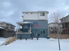 3700 Celestial Ave in Castle Rock, CO - Building Photo