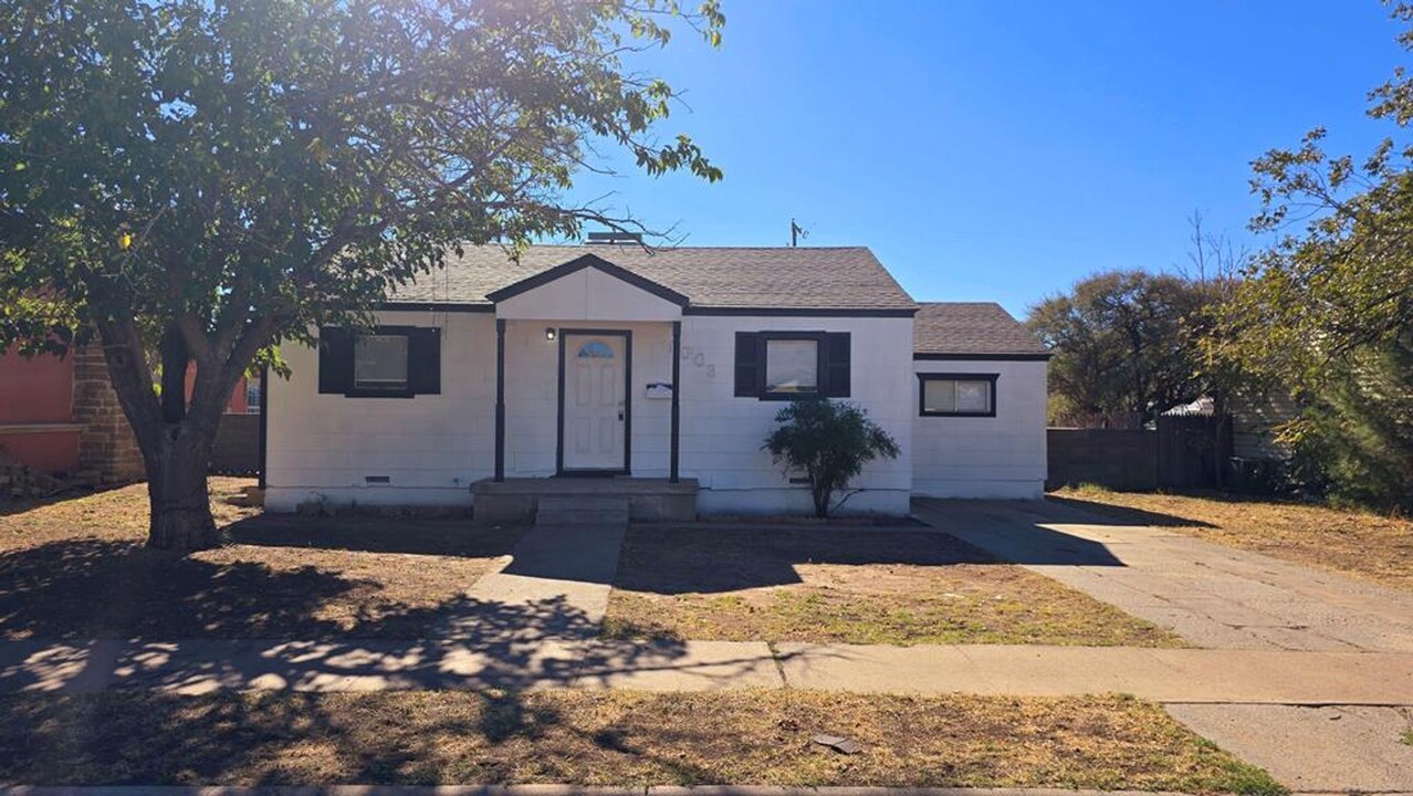 1003 W 21st St in Odessa, TX - Building Photo