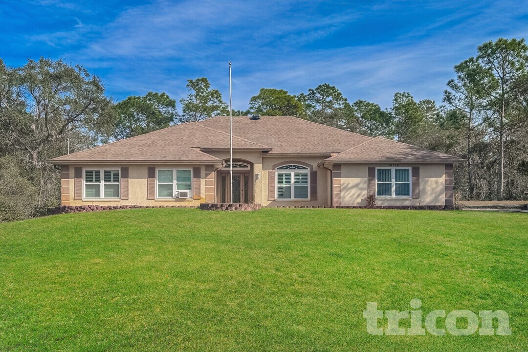 10564 Noddy Tern Rd in Spring Hill, FL - Foto de edificio