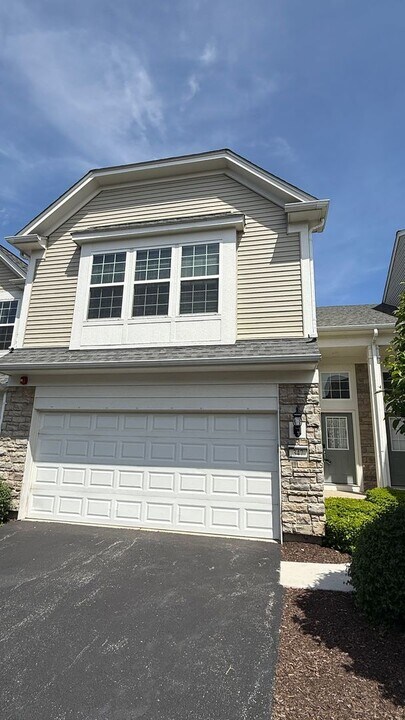 347 Devoe Dr in Oswego, IL - Building Photo