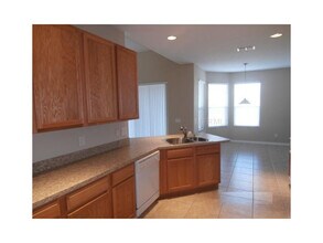 20228 Still Wind Dr in Tampa, FL - Building Photo - Building Photo