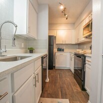 Lakebridge Townhomes in Houston, TX - Building Photo