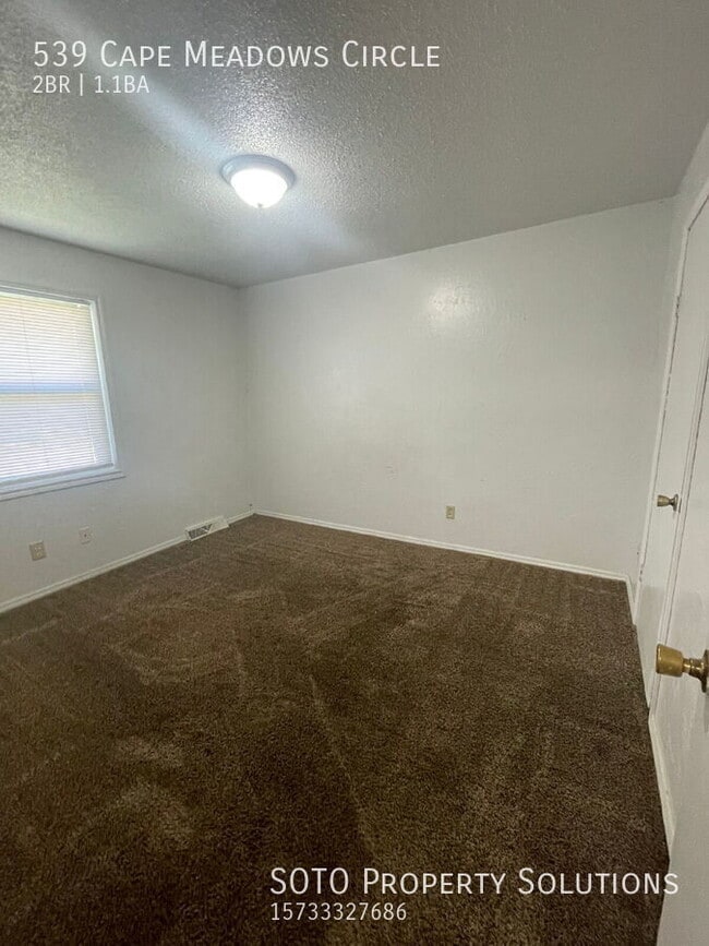 539 Cape Meadows Cir in Cape Girardeau, MO - Building Photo - Building Photo