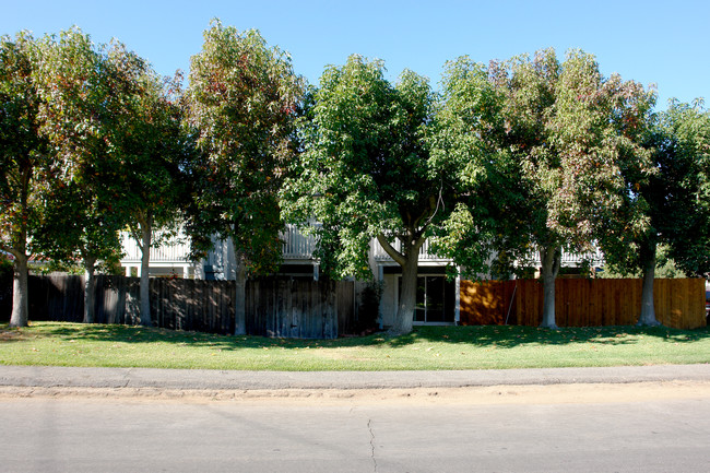 252 Juniper Ave in Carlsbad, CA - Building Photo - Building Photo