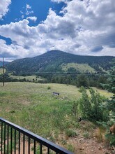 210 E Mountain Ave in Empire, CO - Building Photo - Building Photo