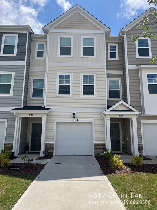 property at 2617 Chert Ln