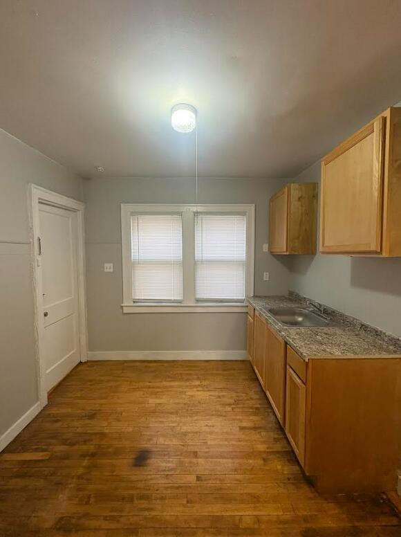 2197 Springle St in Detroit, MI - Building Photo - Building Photo