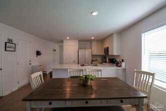 6724 Paso Fino Dr in Bellview, FL - Building Photo - Building Photo