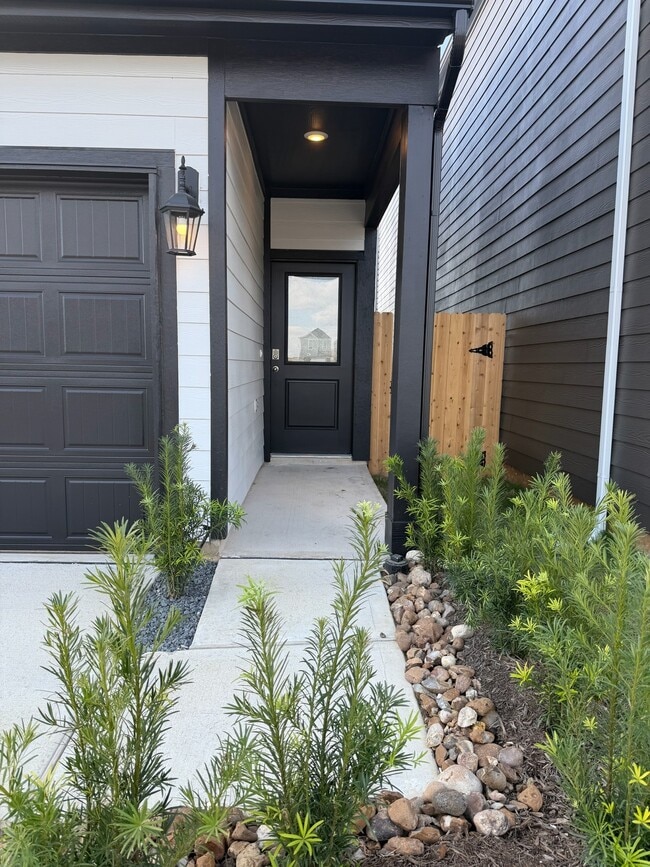 3550 Blue Mockingbird St