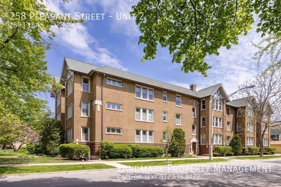 258 Pleasant St in Oak Park, IL - Building Photo