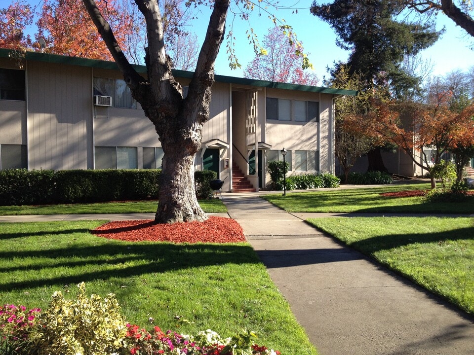 Driftwood Apartments in San Jose, CA - Building Photo