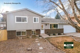 1015 Vondelpark Dr in Colorado Springs, CO - Building Photo