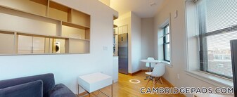 115 Mt Auburn St in Cambridge, MA - Building Photo - Building Photo