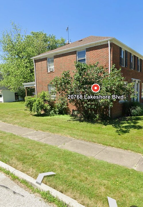 20768 Lakeshore Blvd in Euclid, OH - Foto de edificio
