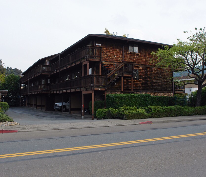 250 Merrydale Rd in San Rafael, CA - Foto de edificio