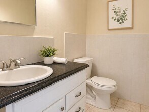 3750 NW 115th Ave in Coral Springs, FL - Building Photo - Building Photo