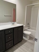 541 Hydrangea St in Hemet, CA - Building Photo - Building Photo