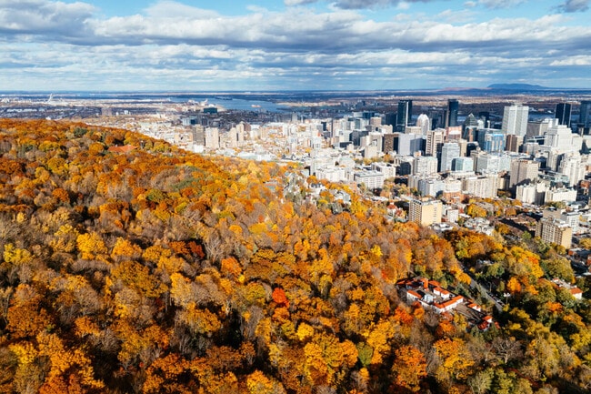 Apartments for rent in Westmount, QC