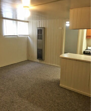511 W University Ave in Champaign, IL - Building Photo - Building Photo