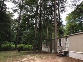 279 County Rd 2779 in Colmesneil, TX - Building Photo