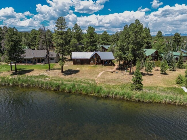 216 Beaver Cir in Pagosa Springs, CO - Building Photo - Building Photo