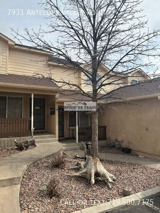 7931 Antelope Valley Point in Colorado Springs, CO - Building Photo