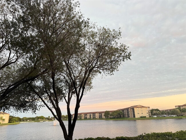 1001 SW 141st Ave in Pembroke Pines, FL - Building Photo - Building Photo