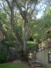 361 Beloit Ave in Los Angeles, CA - Foto de edificio - Building Photo