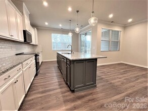 16628 Summers Walk Blvd in Davidson, NC - Building Photo - Building Photo