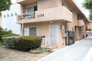3136 S Canfield Ave in Los Angeles, CA - Building Photo