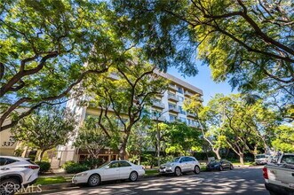 339 N Palm Dr in Beverly Hills, CA - Building Photo - Building Photo