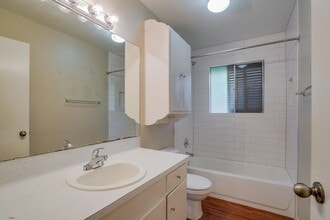 1503 Wheless Ln in Austin, TX - Building Photo - Building Photo