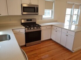 96 Waumbeck St in Boston, MA - Building Photo