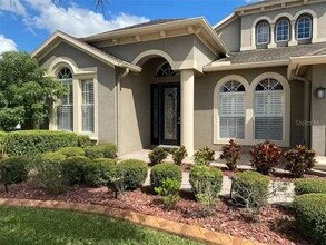 16235 Ivy Lake Dr in Odessa, FL - Foto de edificio - Building Photo