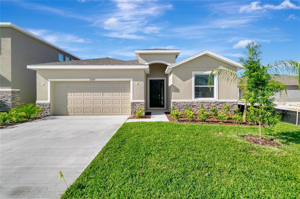 33709 Elm Hl Br in Wesley Chapel, FL - Building Photo