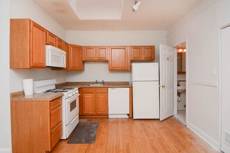 1009 N Sacramento Ave, Unit G05C in Chicago, IL - Building Photo - Building Photo