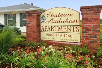 Chateau Audubon Apartments in Thibodaux, LA - Building Photo - Building Photo