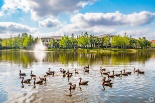 The Hamptons at Palm Beach Gardens Apartments in Palm Beach Gardens, FL - Building Photo