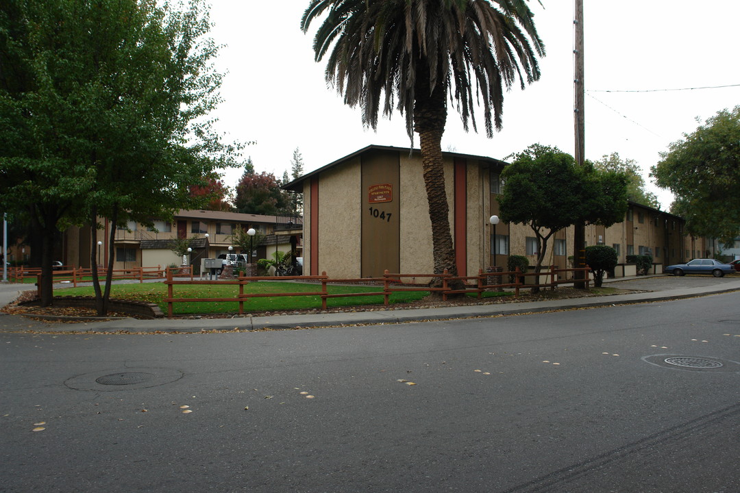 College Park Plaza Apartments in Chico, CA - Building Photo