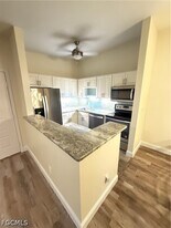 17426 Birchwood Ln in Ft. Myers, FL - Building Photo