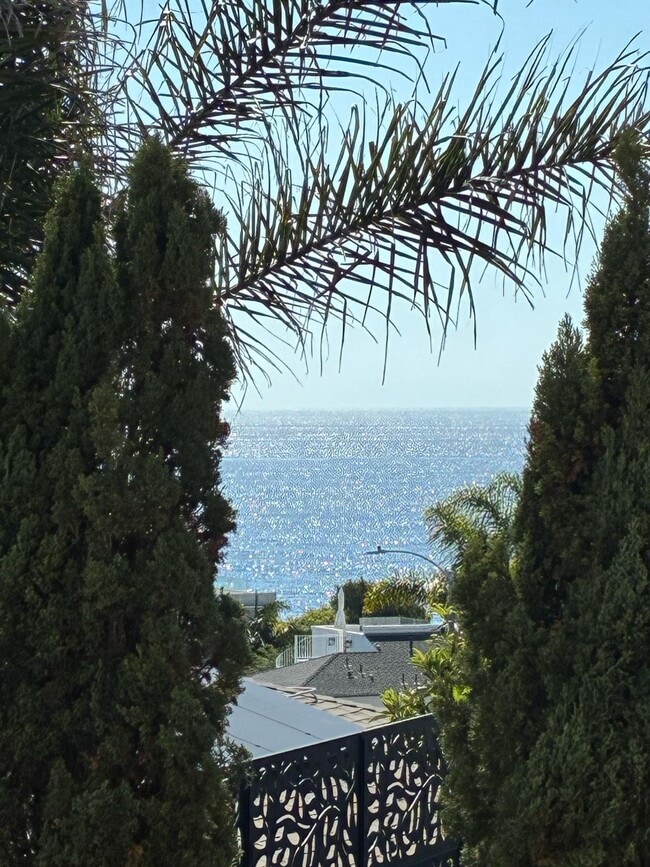 5726 La Jolla Blvd in San Diego, CA - Foto de edificio - Building Photo