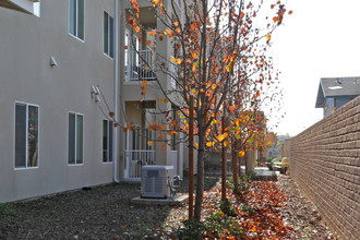 Sierra View Terraces in Reedley, CA - Building Photo - Building Photo