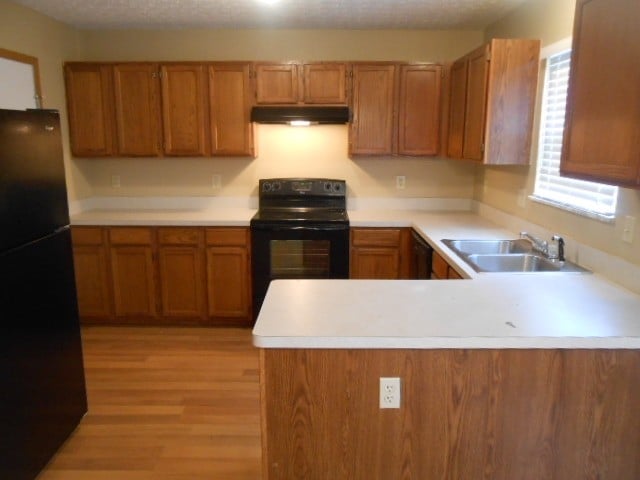 6573 Warriner Way in Canal Winchester, OH - Building Photo - Building Photo