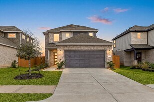27130 Peaceful Cv Dr in Katy, TX - Building Photo