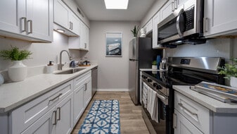 The Carlisle at Dunedin in Dunedin, FL - Building Photo