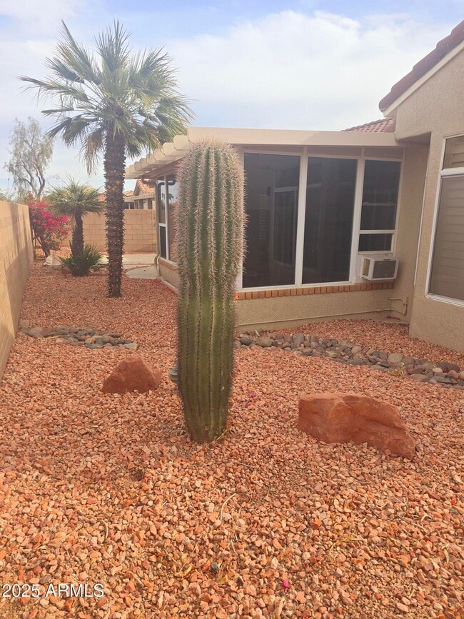 13636 W Antelope Dr in Sun City West, AZ - Building Photo - Building Photo