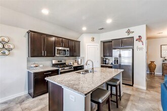 231 Windswept Wy in Kyle, TX - Building Photo - Building Photo